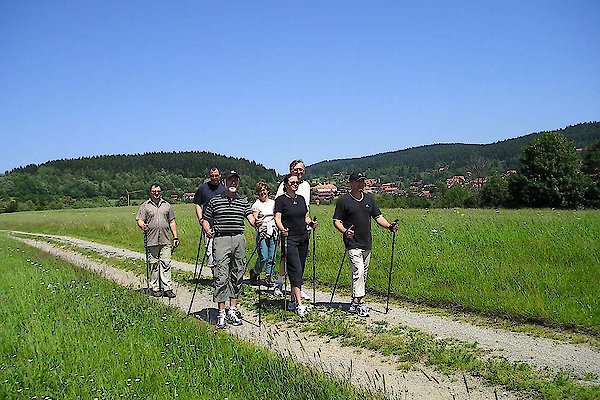Nordic Walking im Bayerischen Wald